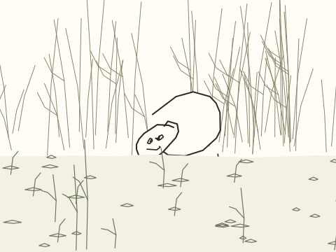 Integrated cartoon key 4