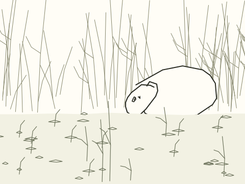 Integrated cartoon key 6