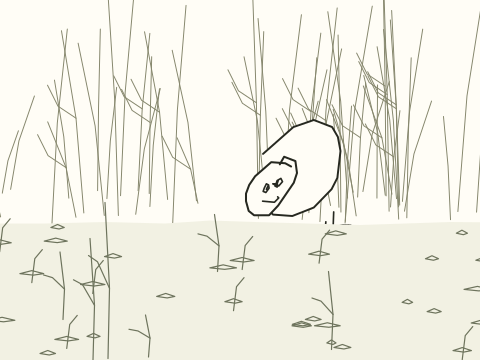 Raccoon: assembled cartoon